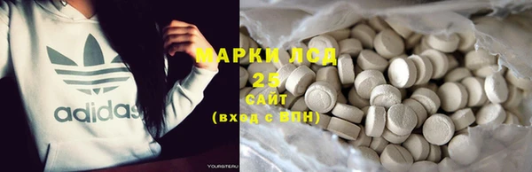 твердый Вяземский