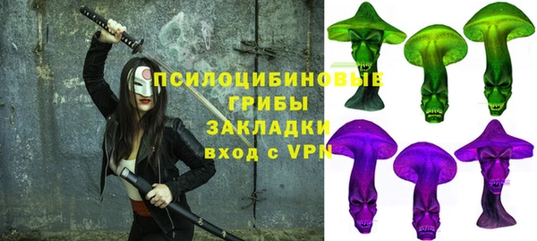 твердый Вяземский