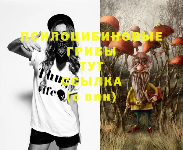 твердый Вяземский