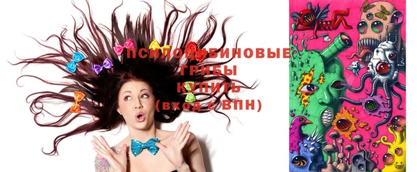 твердый Вяземский