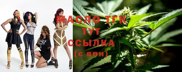 твердый Вяземский