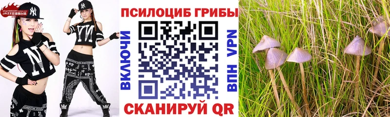 Купить  Моршанск  Псилоцибиновые грибы мицелий 