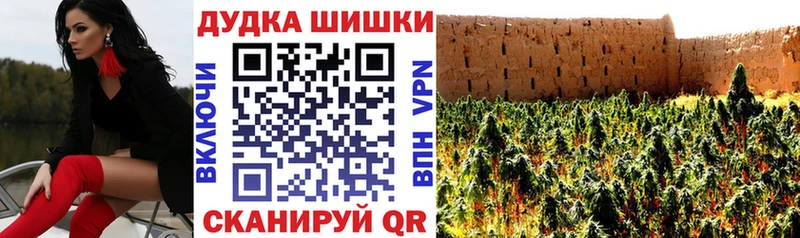 Бошки Шишки ГИДРОПОН  Купить где  Моршанск 
